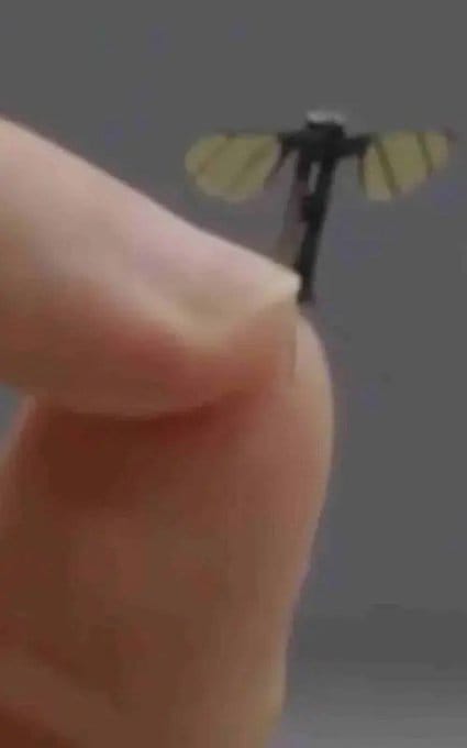 China's Mosquito-Sized Military Drones: A New Era of Warfare Technology